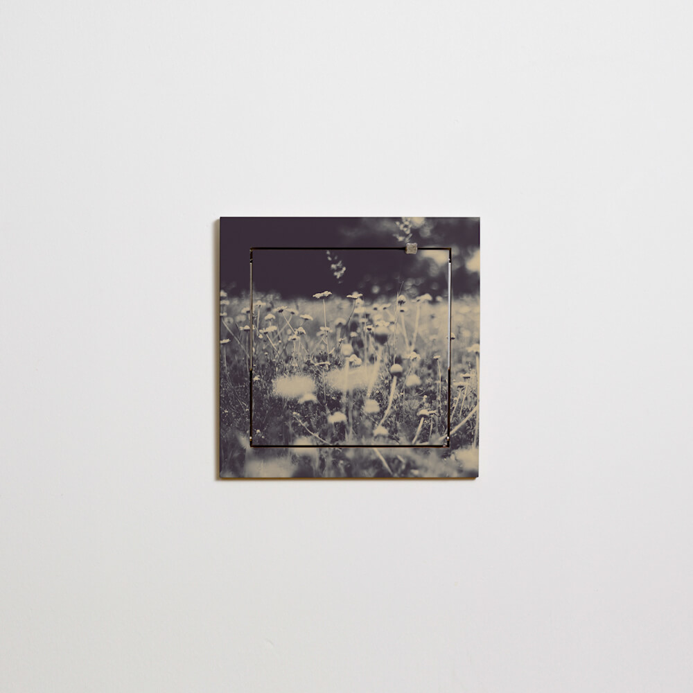 FL020049-Flaepps-Shelf40x40-1-Wild-and-Free-Ingrid-Beddoes-2-web-1to1