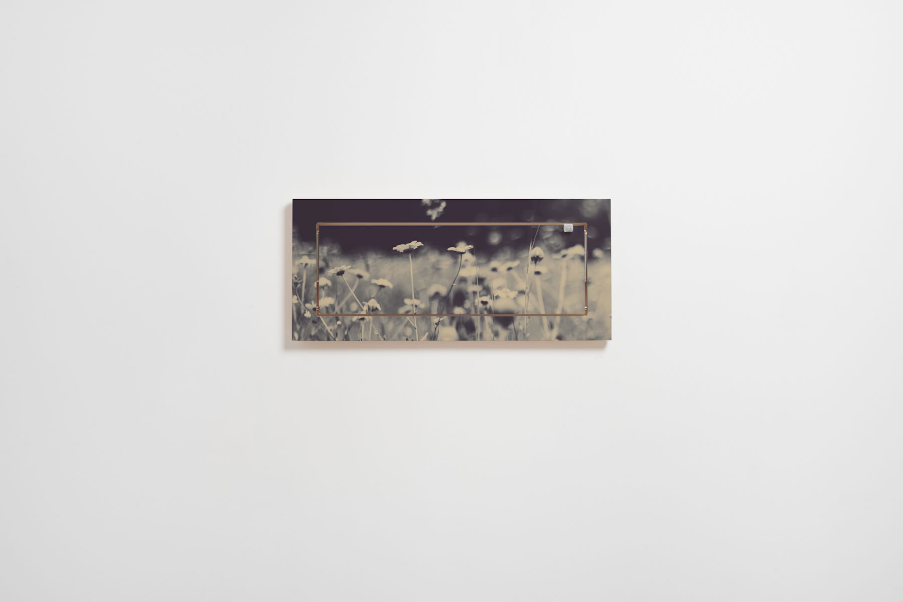 FL160049-Flaepps-Shelf60x27-1-Wild-and-Free-Ingrid-Beddoes-2-web